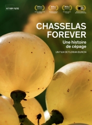 chasselas-forever-une-histoire-de-cepage