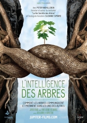 l-intelligence-des-arbres