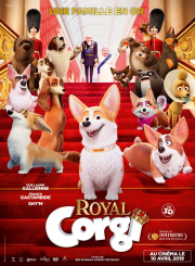 royal-corgi