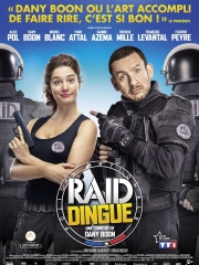 raid-dingue